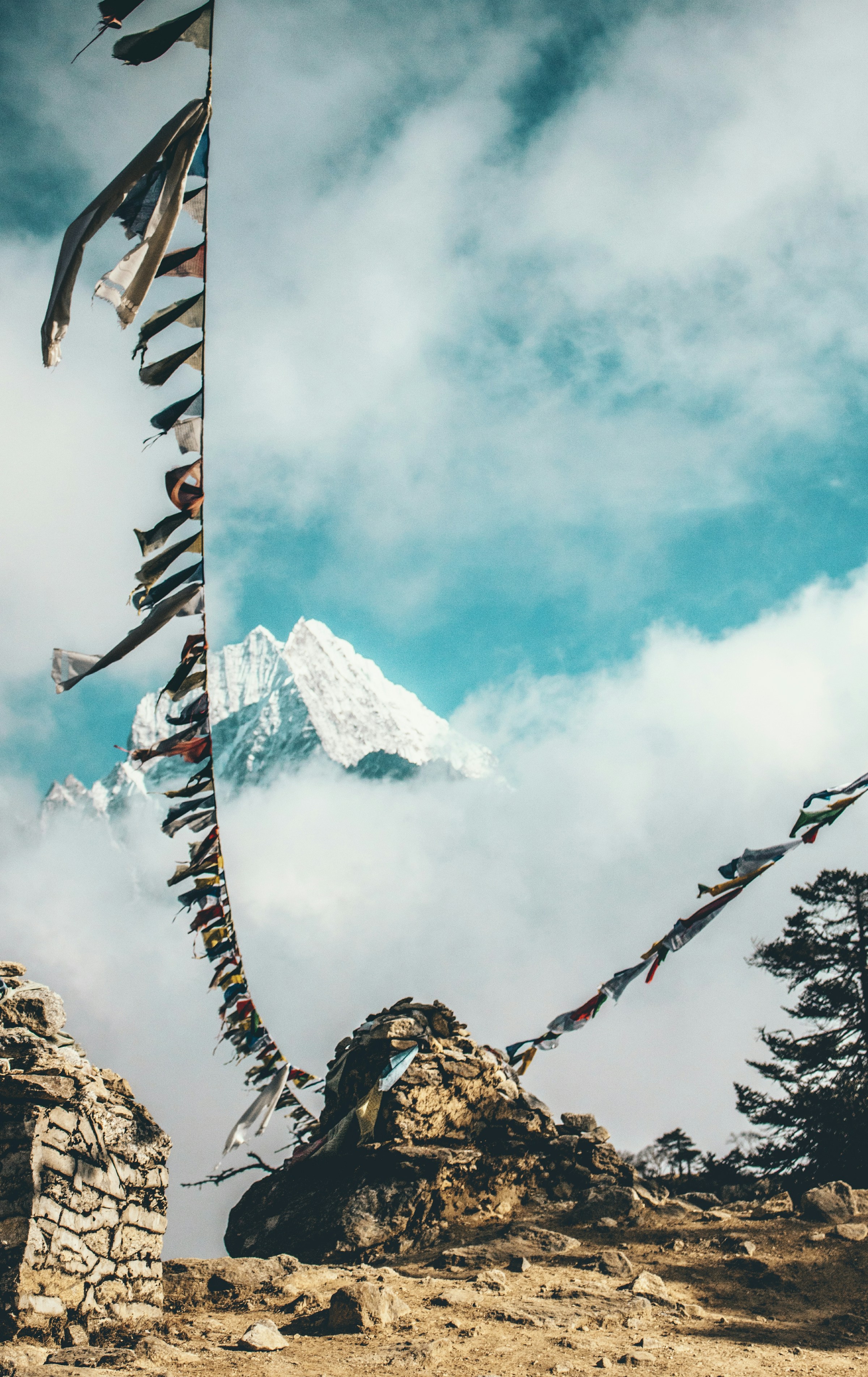 Himalayan yoga and excursion banner
