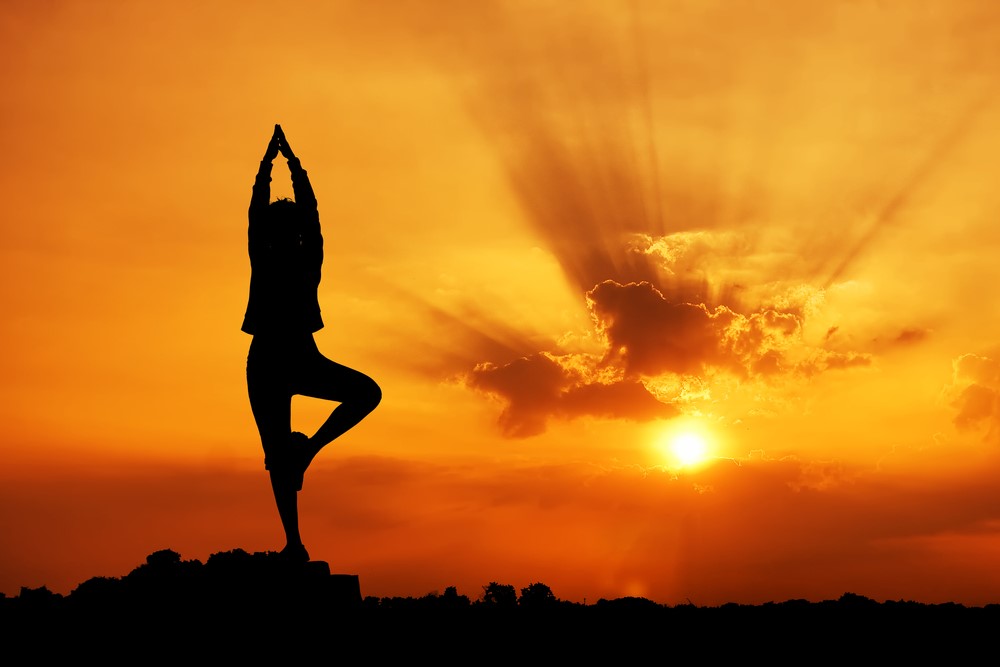Himalayan Yoga And Excursion Pvt Ltd.